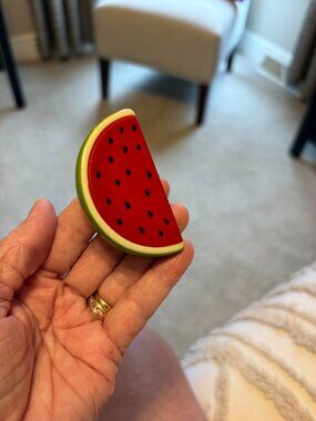Nora Fleming Watermelon Mini EUC